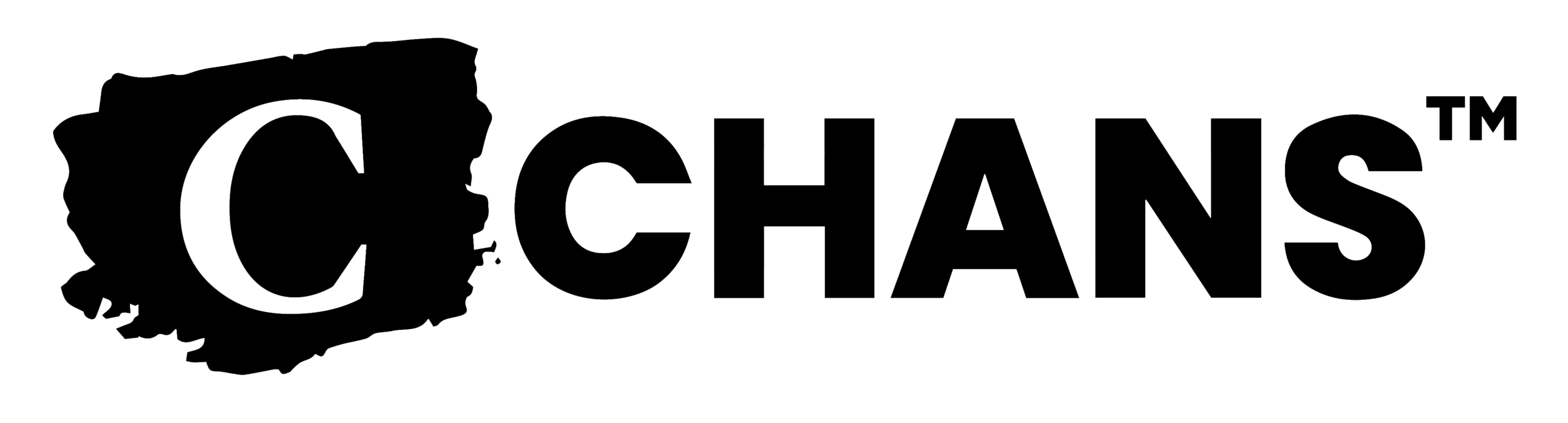 chans@4x e1738729246615 scaled
